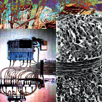 Umpio 'sin memoria' cd - Thumbnail 3