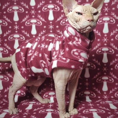 Shroomin' for the holidays