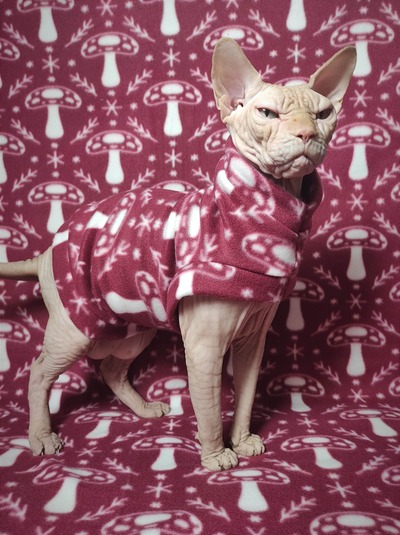 Shroomin' For The Holidays