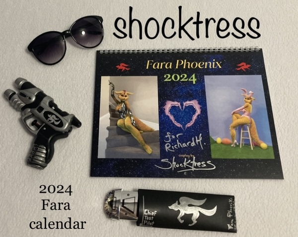 2024 Fara Phoenix: WALL Calendar