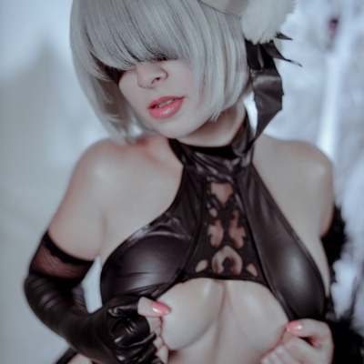 2b cheongsam fanart ver print 3