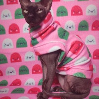 Holiday JuJu Bees - Thumbnail 2