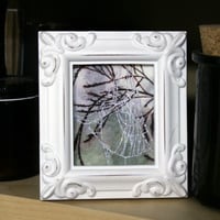 Little Web: Foggy - Thumbnail 1