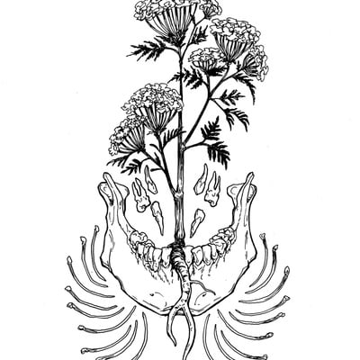 Neon hemlock: jawbone (original ink drawing)