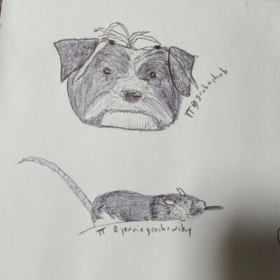 Pet sketch