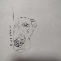 Pet Sketch - Thumbnail 1