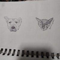 Pet Sketch - Thumbnail 2