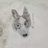Pet Sketch - Thumbnail 3