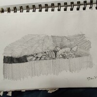 Pet Sketch - Thumbnail 4