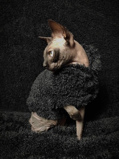 Krampus's Short & Curlies