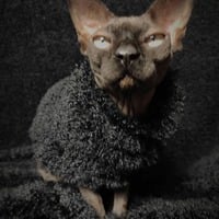 Krampus's Short & Curlies - Thumbnail 2