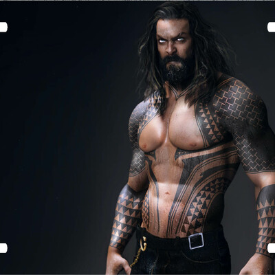 Aquaman jason momoa vanity license plate