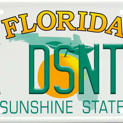 Fu*k ron desantis florida vanity license plate - Thumbnail 5