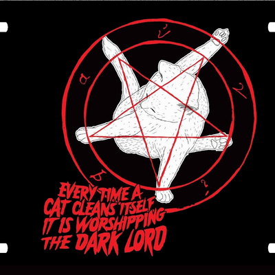 Funny cat dark lord vanity license plate