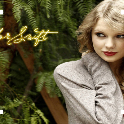 Taylor swift vanity license plate - Thumbnail 5