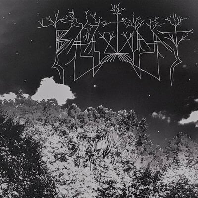 Baazlvaat - baazlvaat - Thumbnail 2