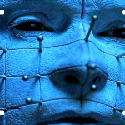 Hellraiser pinhead vanity license plate