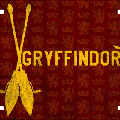Harry potter gryffindor quidditch vanity license plate