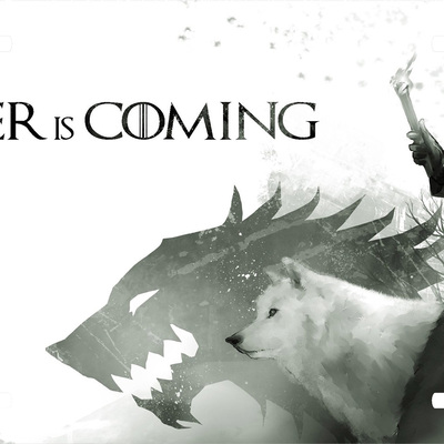 Game of thrones winter is coming vanity license plate