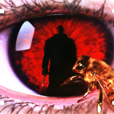 Candyman horror vanity license plate