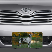 Great Dane Vanity License Plate - Thumbnail 1