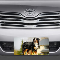 Bernese Mountain Vanity License Plate - Thumbnail 1
