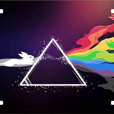 Pokemon pink floyd eevee vanity license plate