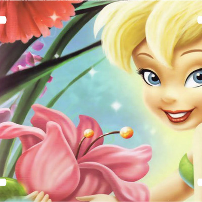 Disney tinkerbell peter pan vanity license plate