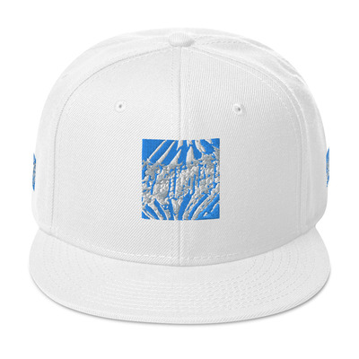 Snapback hat - roof