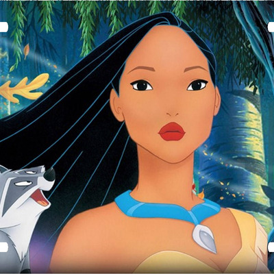 Disney pocahontas meeko vanity license plate