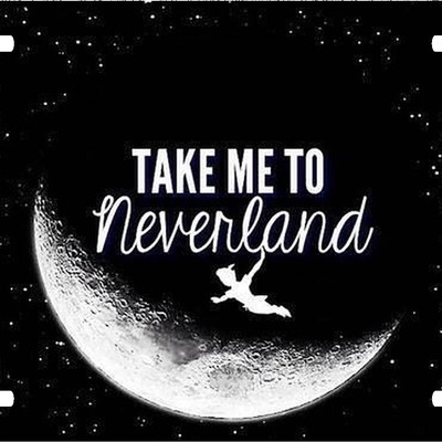 Disney peter pan take me to neverland vanity license plate - Thumbnail 2
