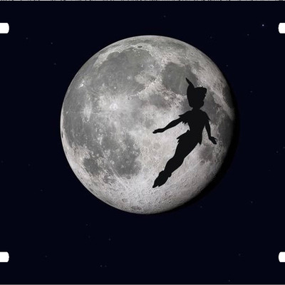 Disney peter pan moon vanity license plate