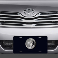 Disney Peter Pan Moon Vanity License Plate - Thumbnail 1
