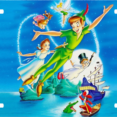 Disney peter pan cast tinkerbell license plate auto