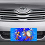 Disney Marching Band Mickey Mouse and Goofy Vanity License Plate-1