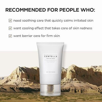 Skin 1004 - madagascar centella soothing cream