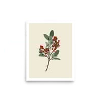 Holly Print  - Thumbnail 1