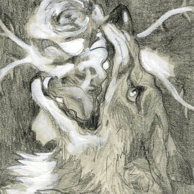 Of sharp flower songs