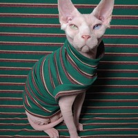 Glitter Elf - Ribbed For Her Pleasure  - Thumbnail 1