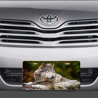 Wolf in the Forest License Plate - Thumbnail 1