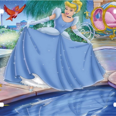 Cinderella license plate 2