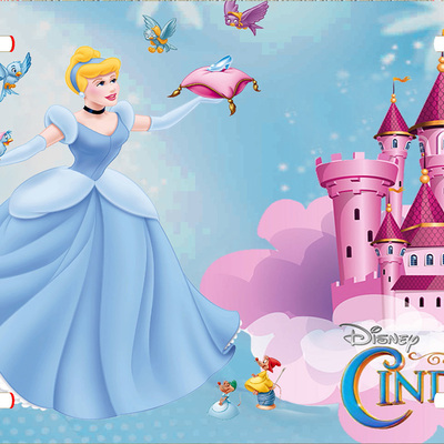 Cinderella license plate 1