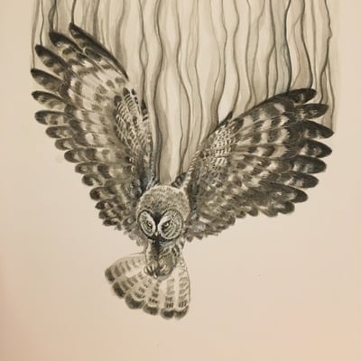 Smoke: owl