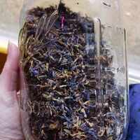 🎆Subject #001🎆 Loose Leaf Tea - Thumbnail 1