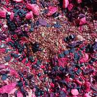 🦋Mothman🦋 Loose Leaf Tea - Thumbnail 2