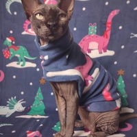 Dinomas - Thumbnail 2