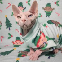 Elven Inclusivity - Thumbnail 2