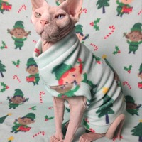 Elven Inclusivity - Thumbnail 1