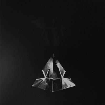 William fowler collins - hallucinating loss 12" lp sssk#74