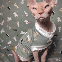 Polar Express  - Thumbnail 2